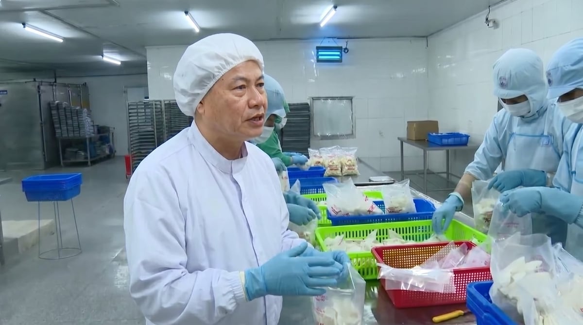 Hội Thủy sản TP.HCM nhấn mạnh yêu cầu hình thành chuỗi giá trị thủy sản minh bạch, có khả năng truy xuất nguồn gốc đầy đủ. Hội Thủy sản TP.HCM nhấn mạnh yêu cầu hình thành chuỗi giá trị thủy sản minh bạch, có khả năng truy xuất nguồn gốc đầy đủ.