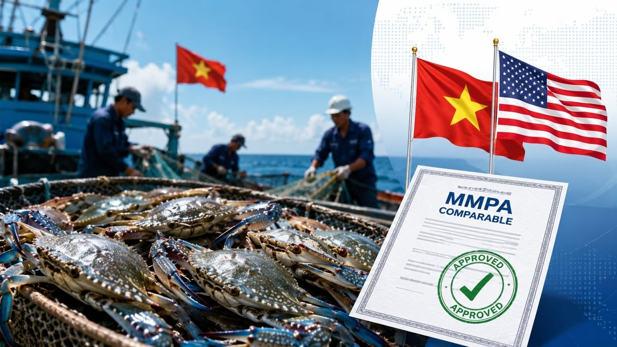 Như vậy, ghẹ Việt Nam khi xuất khẩu sang Hoa Kỳ trong thời gian tới không cần COA (xuất bình thường như trước đây). Ảnh: VASEP. Như vậy, ghẹ Việt Nam khi xuất khẩu sang Hoa Kỳ trong thời gian tới không cần COA (xuất bình thường như trước đây). Ảnh: VASEP.