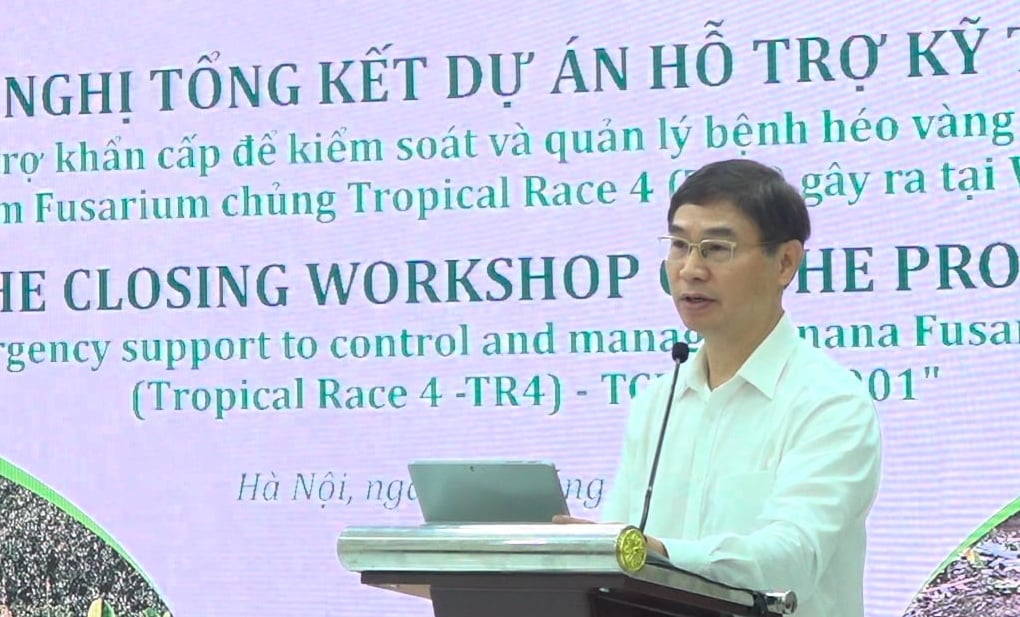 Ông Nguyễn Quý Dương, Phó Cục trưởng Cục Trồng trọt và Bảo vệ thực vật phát biểu tại hội nghị. Ảnh: Nguyễn Thủy.