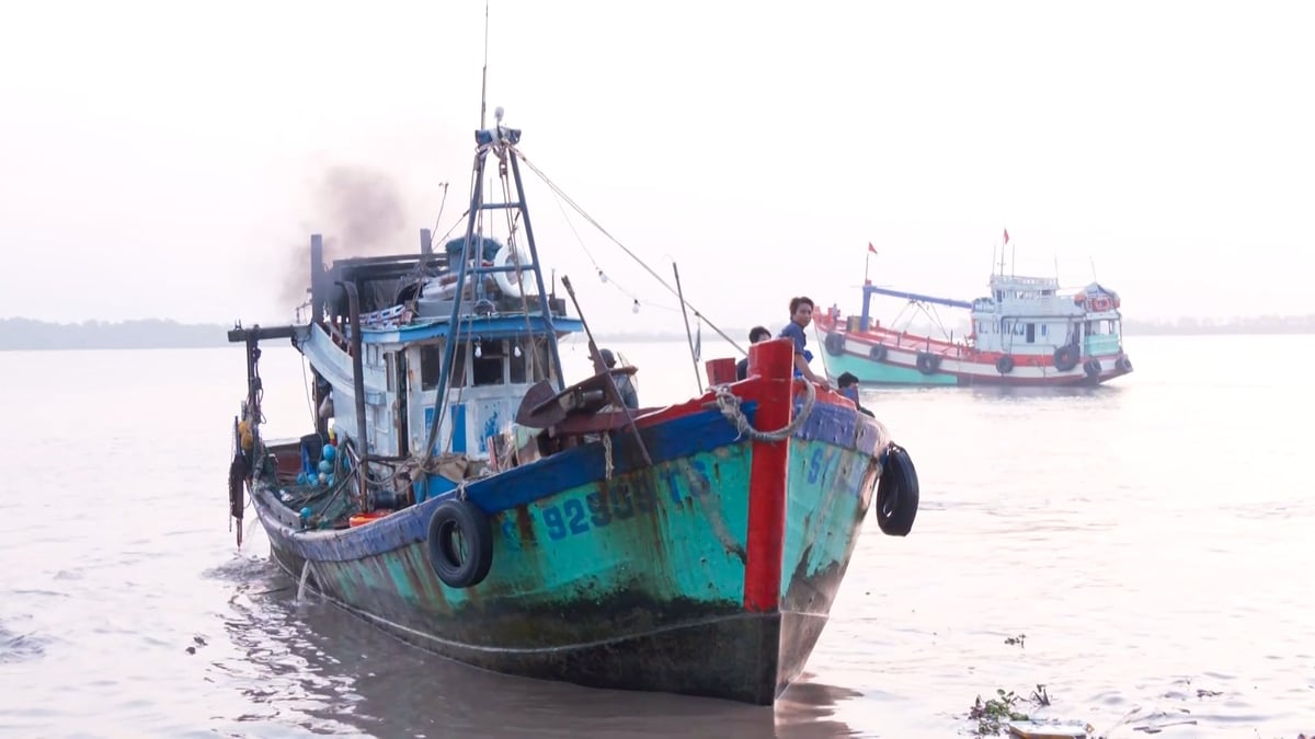 Tàu cá sau chuyến khai thác xa bờ trở về cảng cá Trần Đề. Ảnh: Văn Vũ.