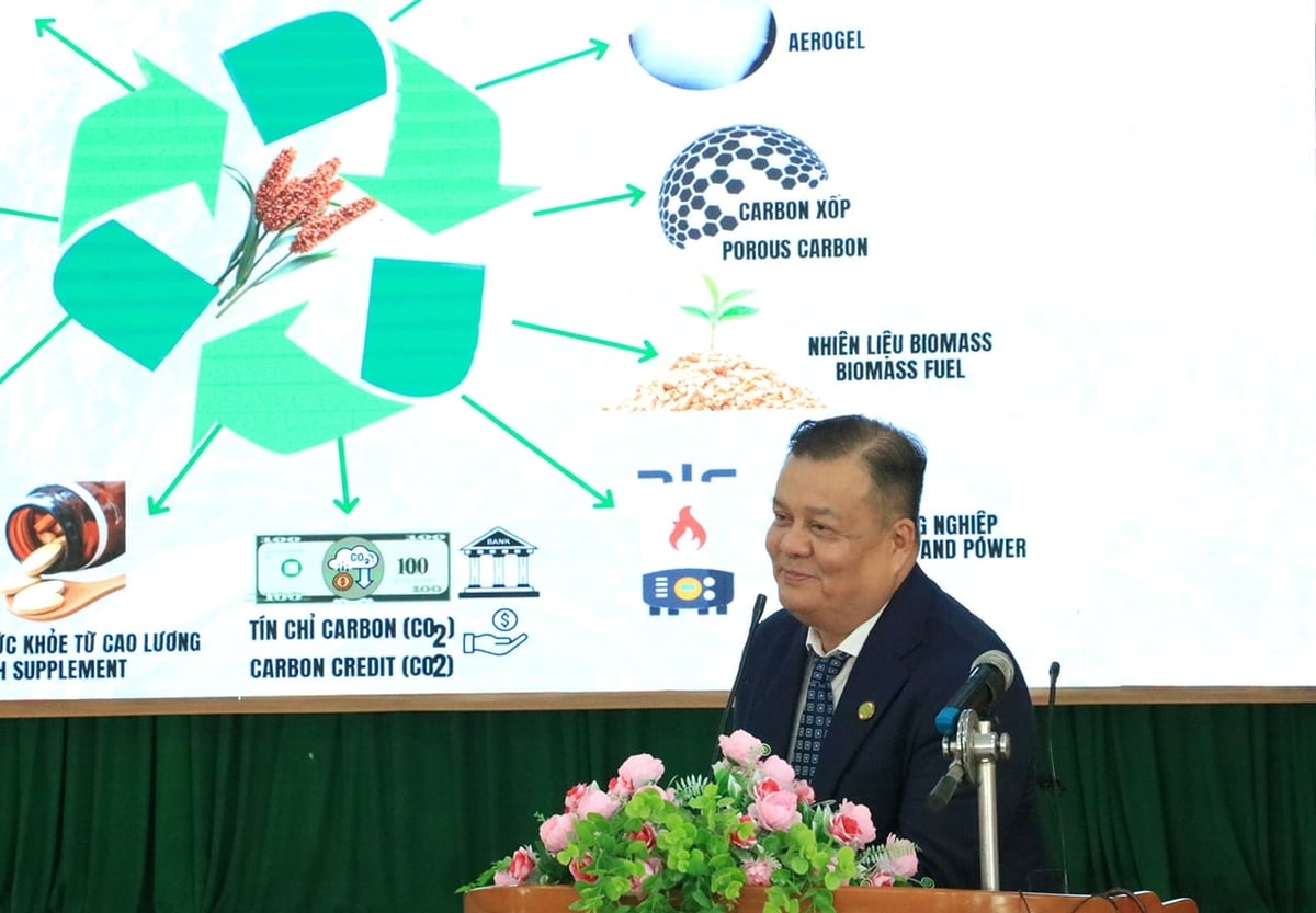 Ông Trần Đình Quyền, Chủ tịch Hội đồng Khoa học của QHC Global, chia sẻ về những sản phẩm từ cây cao lương. Ảnh: Thanh Sơn. Ông Trần Đình Quyền, Chủ tịch Hội đồng Khoa học của QHC Global, chia sẻ về những sản phẩm từ cây cao lương. Ảnh: Thanh Sơn.