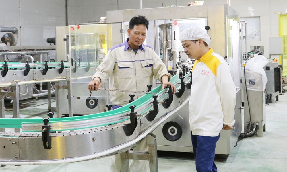 Cán bộ kỹ thuật Công ty cổ phần Xuất nhập khẩu thực phẩm Toàn Cầu kiểm tra hệ thống xử lý, chế biến vải thiều xuất khẩu. Ảnh: Thành Nam. Cán bộ kỹ thuật Công ty cổ phần Xuất nhập khẩu thực phẩm Toàn Cầu kiểm tra hệ thống xử lý, chế biến vải thiều xuất khẩu. Ảnh: Thành Nam.