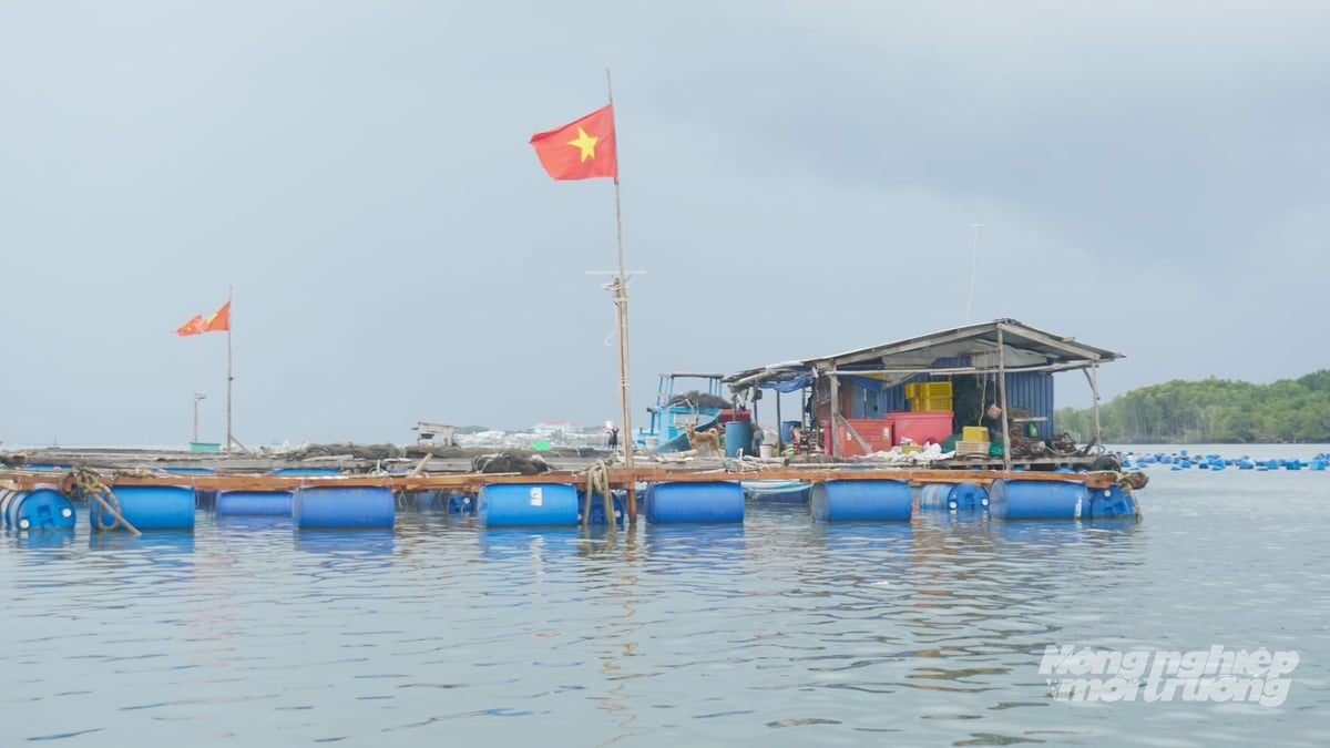 Vịnh Gành Rái được đánh giá có nhiều lợi thế để phát triển nuôi biển quy mô lớn nhờ diện tích rộng, khả năng lưu thông nước tốt và phù hợp định hướng quy hoạch nuôi trồng thủy sản bền vững. Ảnh: Lê Bình.