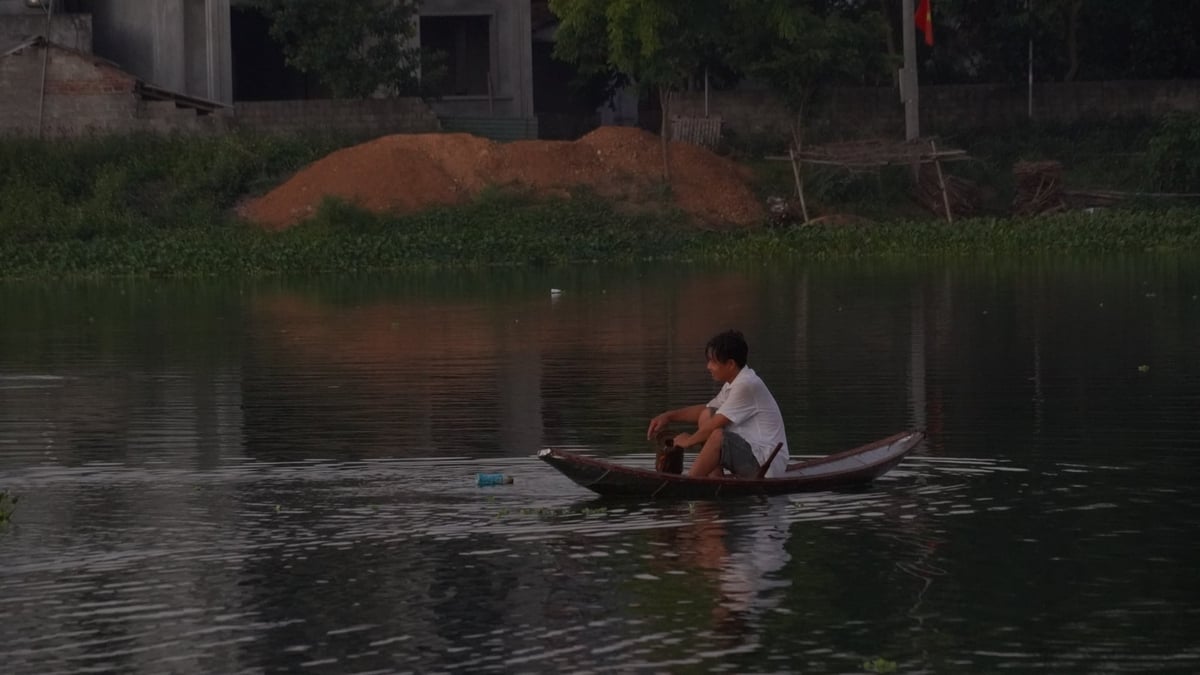 Chỉ khi trời sẩm tối, anh Chức - chồng chị Hoa mới đi thu lờ bắt tôm nhưng hầu hết tôm cũng chẳng thể sống qua đêm. Ảnh: Minh Toàn.