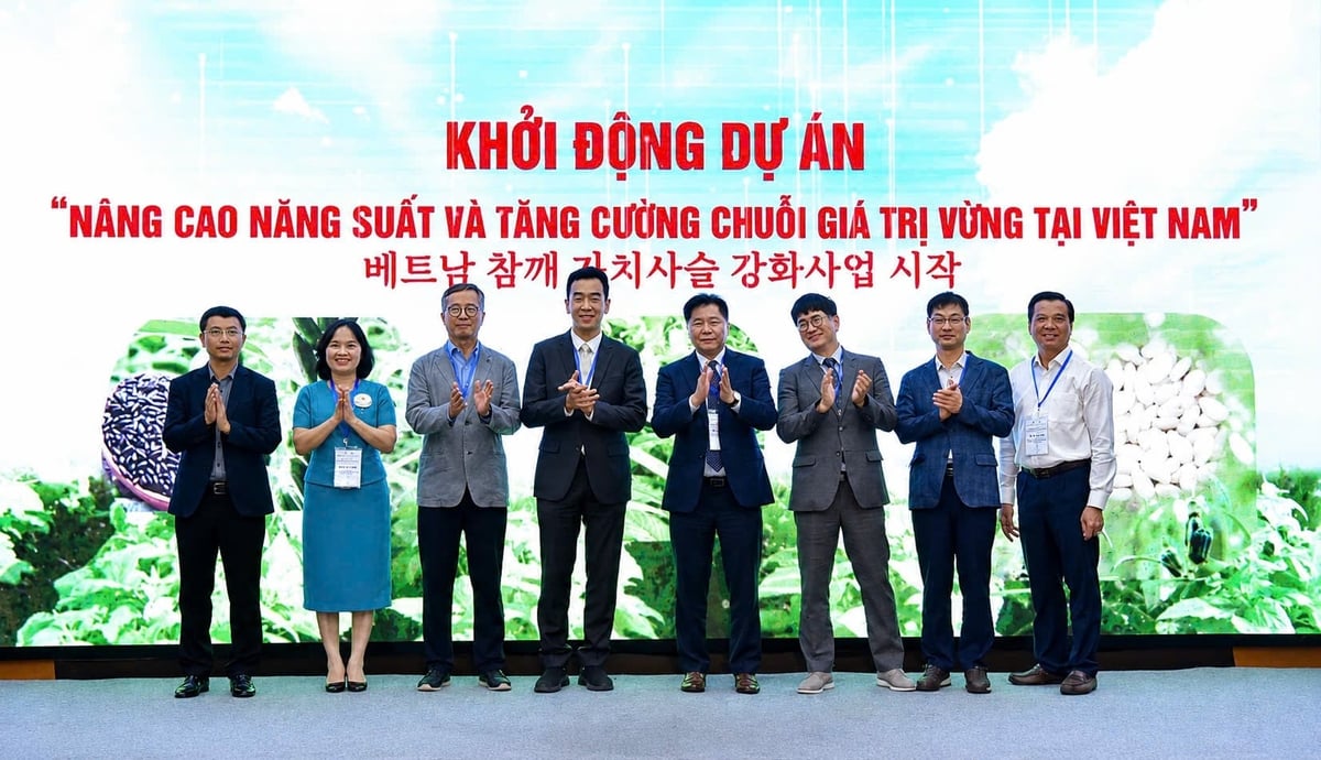 Các đại biểu khởi động Dự án 'Nâng cao năng suất và tăng cường chuỗi giá trị vừng tại Việt Nam'. Ảnh: Trung Hiếu.