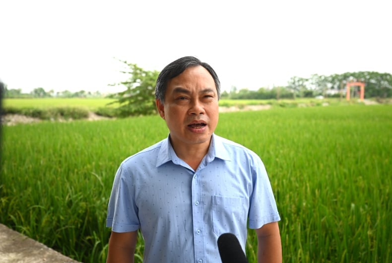 Ông Nguyễn Văn Tráng, Phó Giám đốc Sở Nông nghiệp và Môi trường tỉnh Hưng Yên. Ảnh: Tùng Đinh.