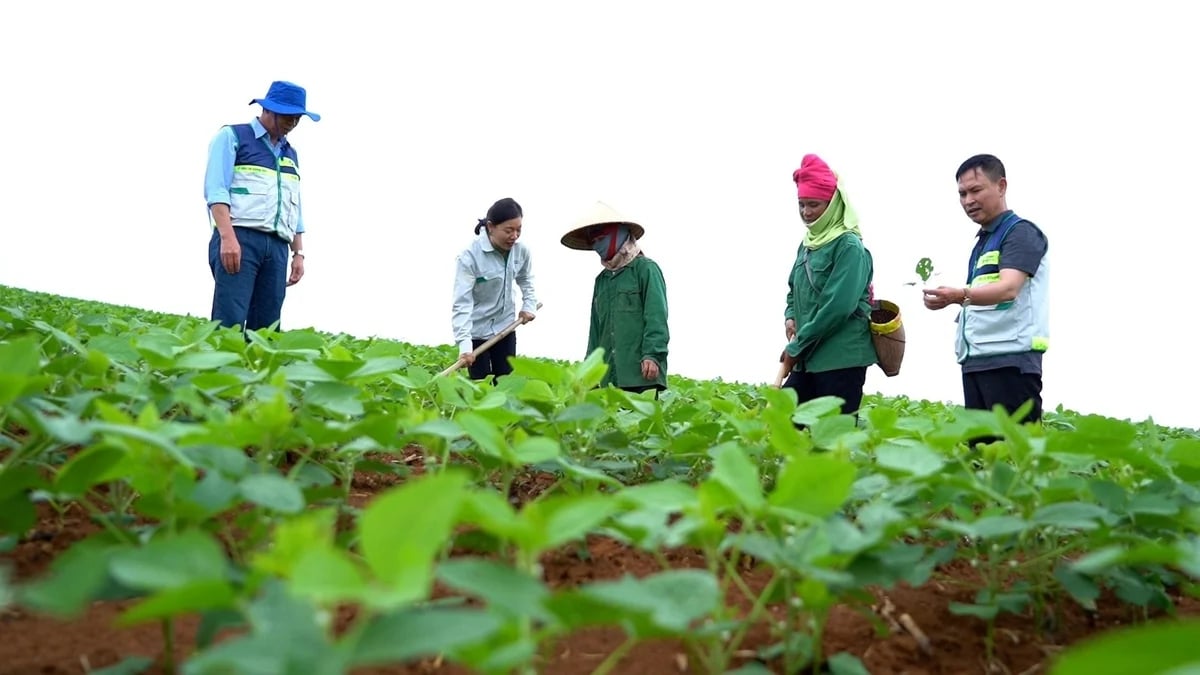 Công tác khuyến nông nhận được sự quan tâm lãnh đạo, chỉ đạo của lãnh đạo Đảng và Nhà nước. Ảnh: Tùng Đinh.
