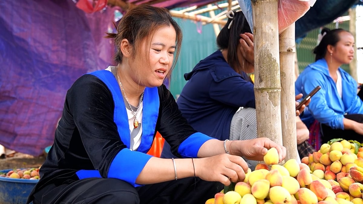 Chị Vàng Thị Thơm mang từng giỏ đào căng mọng ra chợ bán. Ảnh: Đức Bình.
