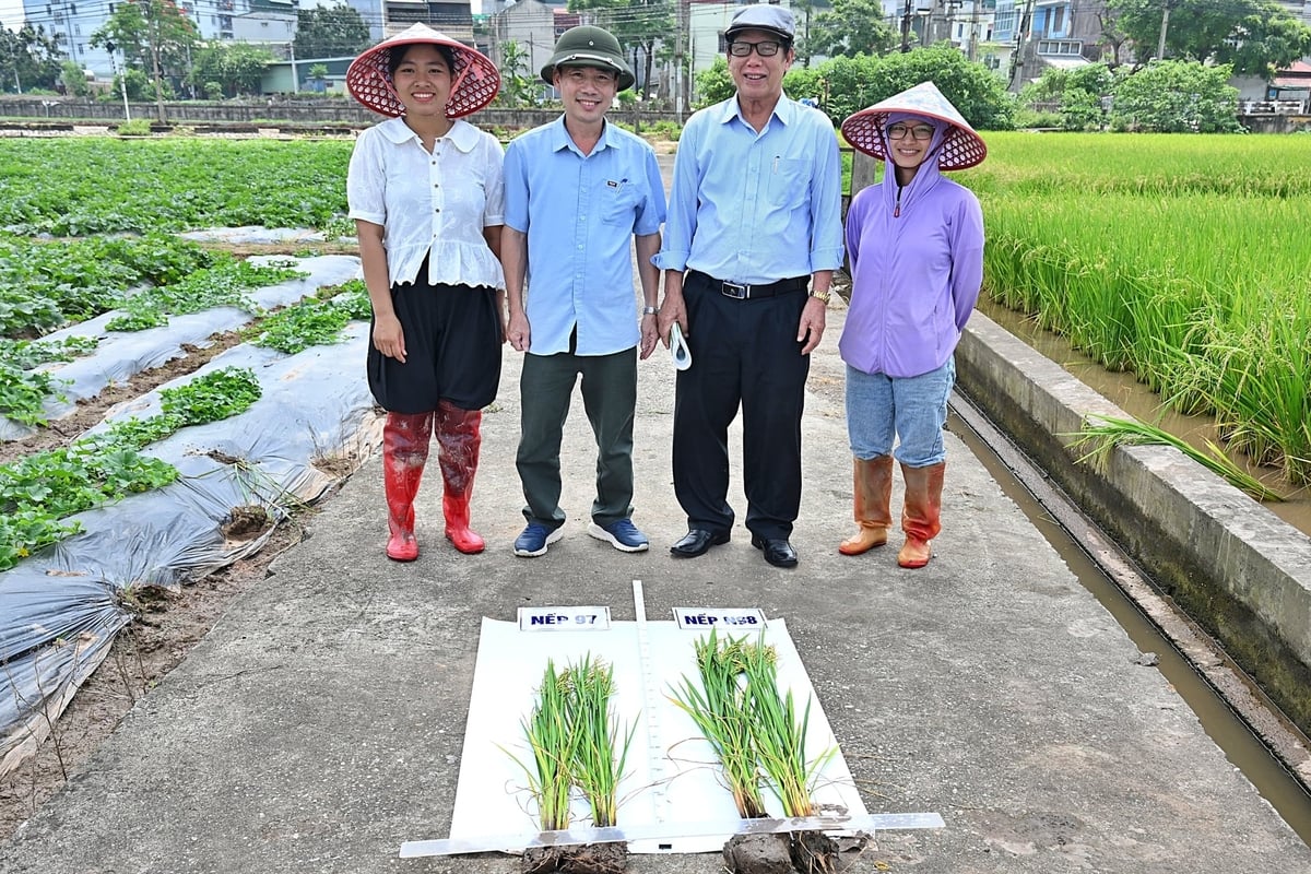 PGS.TS Lê Vĩnh Thảo (thứ 2 từ phải sang) bên cán bộ Trung tâm Chuyển giao Công nghệ và Khuyến nông. Ảnh: Bảo Thắng.