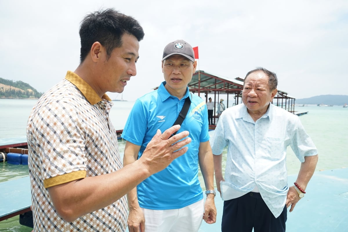 Các đại biểu tham quan mô hình nuôi biển của Công ty cổ phần Mực nhảy Biển Đông. Ảnh: Nguyễn Thành. Các đại biểu tham quan mô hình nuôi biển của Công ty cổ phần Mực nhảy Biển Đông. Ảnh: Nguyễn Thành.