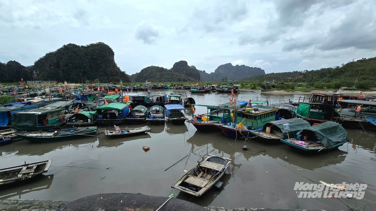 Đối tượng thụ hưởng là tàu cá đăng ký tại tỉnh Quảng Ninh có chiều dài từ 15 mét trở lên. Ảnh: Cường Vũ. Đối tượng thụ hưởng là tàu cá đăng ký tại tỉnh Quảng Ninh có chiều dài từ 15 mét trở lên. Ảnh: Cường Vũ.