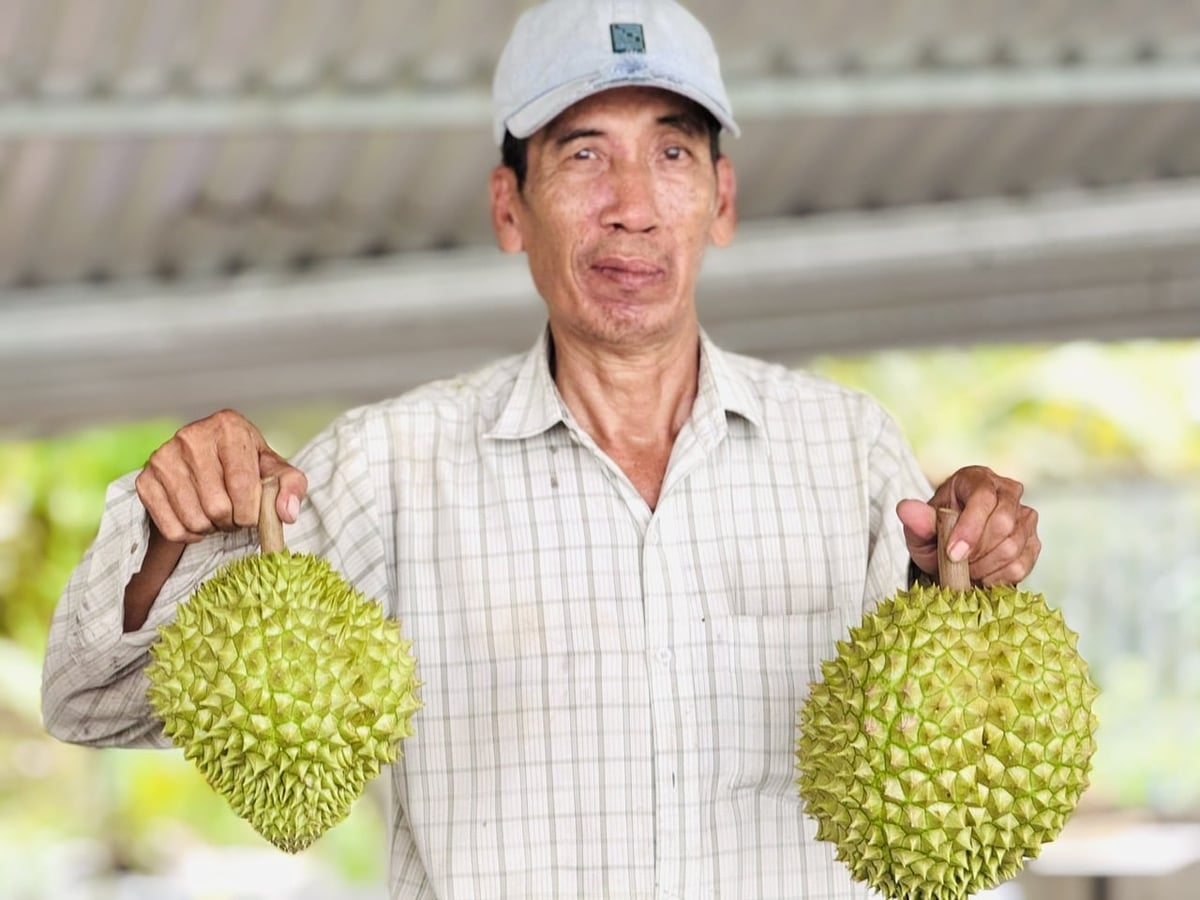 Mã số vùng trồng là 'tấm thẻ xanh' để nông sản Việt bước ra thế giới. Ảnh: Lê Hoàng Vũ Mã số vùng trồng là 'tấm thẻ xanh' để nông sản Việt bước ra thế giới. Ảnh: Lê Hoàng Vũ