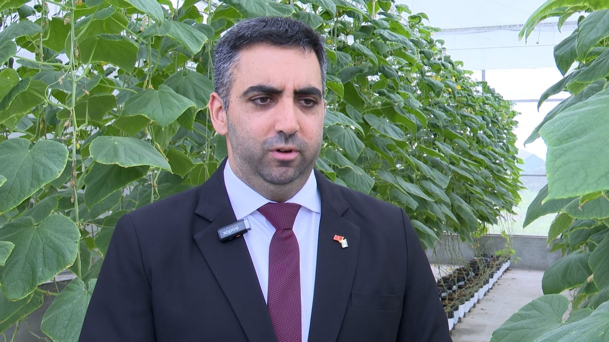 Ông Chen Peretz, Tham tán Thương mại Israel tại Việt Nam chia sẻ về mô hình trồng dưa chuột hữu cơ ứng dụng công nghệ Israel tại trang trại Terrasoil. Ảnh: Viết Dũng. Ông Chen Peretz, Tham tán Thương mại Israel tại Việt Nam chia sẻ về mô hình trồng dưa chuột hữu cơ ứng dụng công nghệ Israel tại trang trại Terrasoil. Ảnh: Viết Dũng.