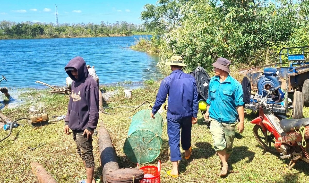 Tưới đủ nước giúp cây cà phê phát triển ổn định. Ảnh: Đăng Lâm. Tưới đủ nước giúp cây cà phê phát triển ổn định. Ảnh: Đăng Lâm.