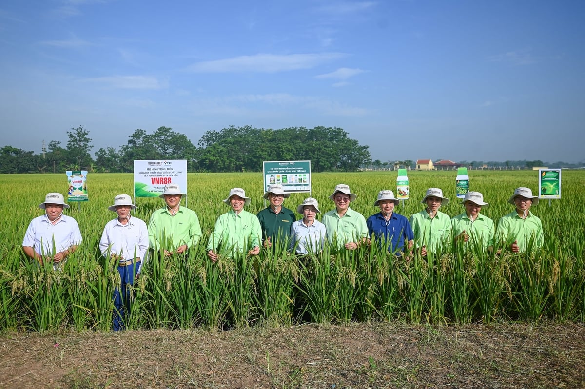Vinaseed cùng VFC đem lại gói giải pháp hiệu quả cao cho người trồng lúa Phú Thọ. Ảnh: Tùng Đinh.