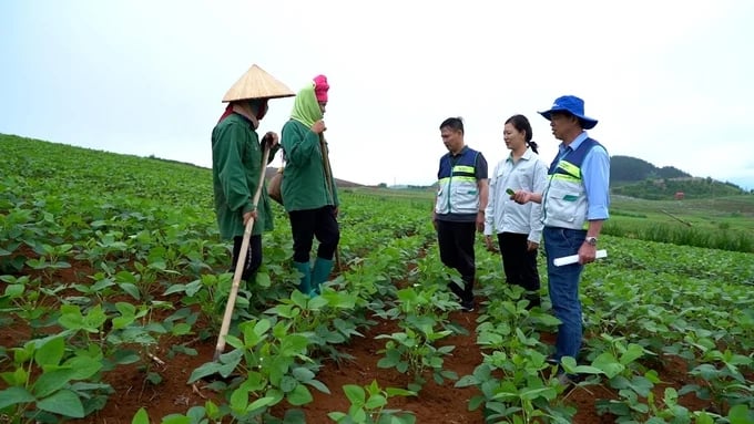 Hiện đã có 32/34 tỉnh, thành phố hoàn thành việc sắp xếp, kiện toàn trung tâm khuyến nông cấp tỉnh. Ảnh: Tùng Đinh.