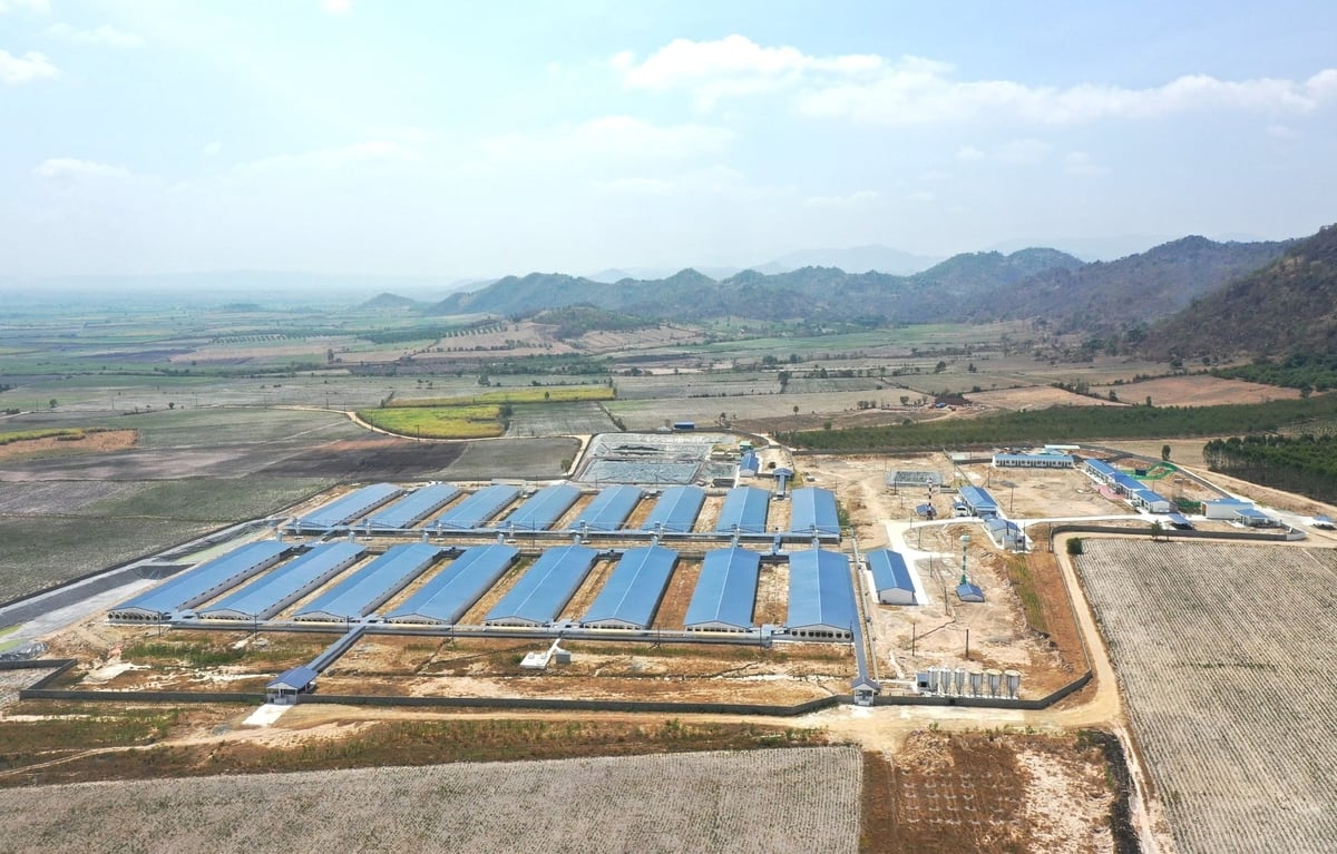 Gia Lai đang là điểm đến của các dự án chăn nuôi công nghệ cao. Ảnh: Tuấn Anh.