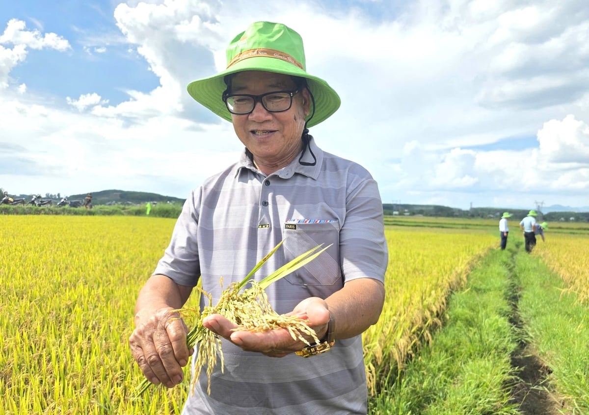 Người dân phấn khích khi chứng kiến giống lúa TBR97 cho năng suất cao. Ảnh: Tuấn Anh.