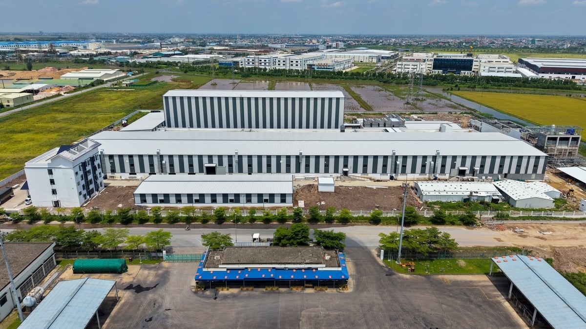 Khi đi vào hoạt động, nhà máy chế biến cá rô phi xuất khẩu BaiYang VN tại Khu Công nghiệp Tiền Hải, xã Đồng Châu sẽ có công suất giai đoạn 1 đạt 150 tấn/ngày. Ảnh: VN.