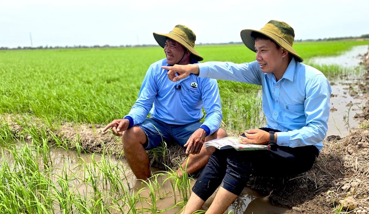 Để đạt hiệu quả cao, đội ngũ kỹ thuật của Vipesco hướng dẫn nông dân xử lý đúng thời điểm khi cỏ còn nhỏ, sử dụng đúng liều lượng và quản lý nước hợp lý sau phun. Ảnh: Minh Sáng.