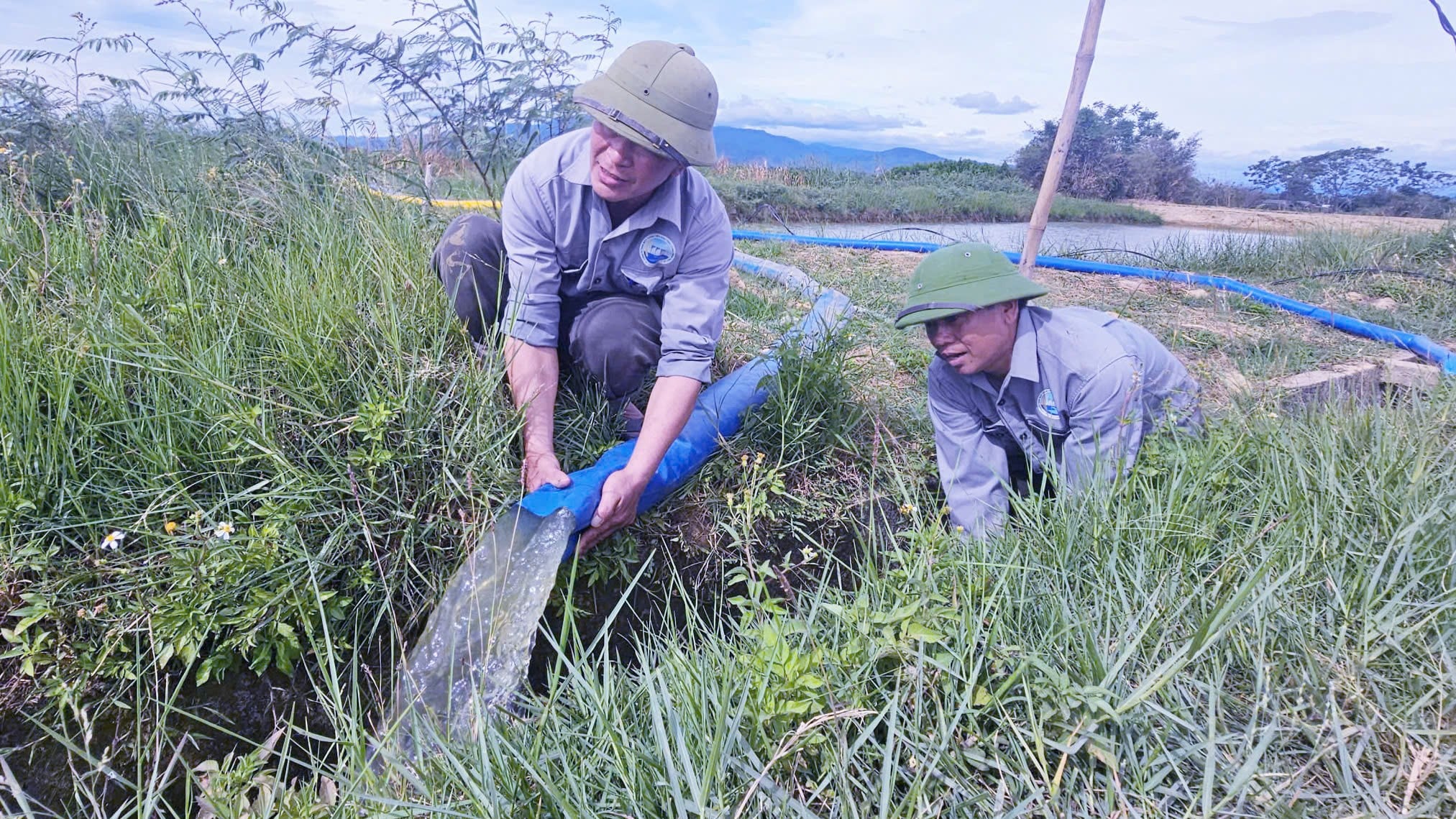 Cán bộ Chi nhánh Thủy nông Bố Trạch bơm nước hồi quy từ ao hồ tự nhiên bổ sung vào tuyến mương đưa về ruộng. Ảnh: T. P. Cán bộ Chi nhánh Thủy nông Bố Trạch bơm nước hồi quy từ ao hồ tự nhiên bổ sung vào tuyến mương đưa về ruộng. Ảnh: T. P.