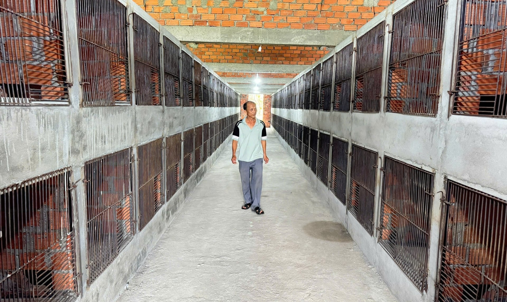 Hợp tác xã Chăn nuôi cầy vòi hương Thiện Phát (xã Thiện Tín, Quảng Ngãi) có hơn 40 thành viên cùng góp vốn xây dựng mô hình nuôi cầy vòi hương thương phẩm. Ảnh: L.K.