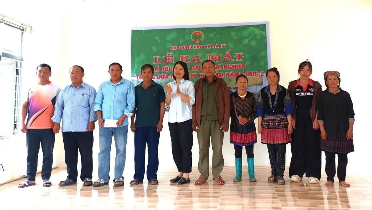 Lễ ra mắt Tổ hội nông dân nghề nghiệp trồng dứa mật bản Nậm Chua 2. Ảnh: HND Nà Hỳ.