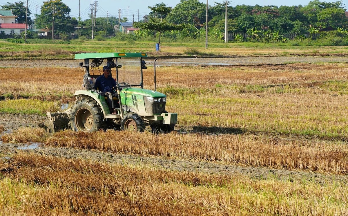 Nông dân TP. Huế tích cực vệ sinh đồng ruộng, xuống giống vụ hè thu. Ảnh: Văn Dinh.