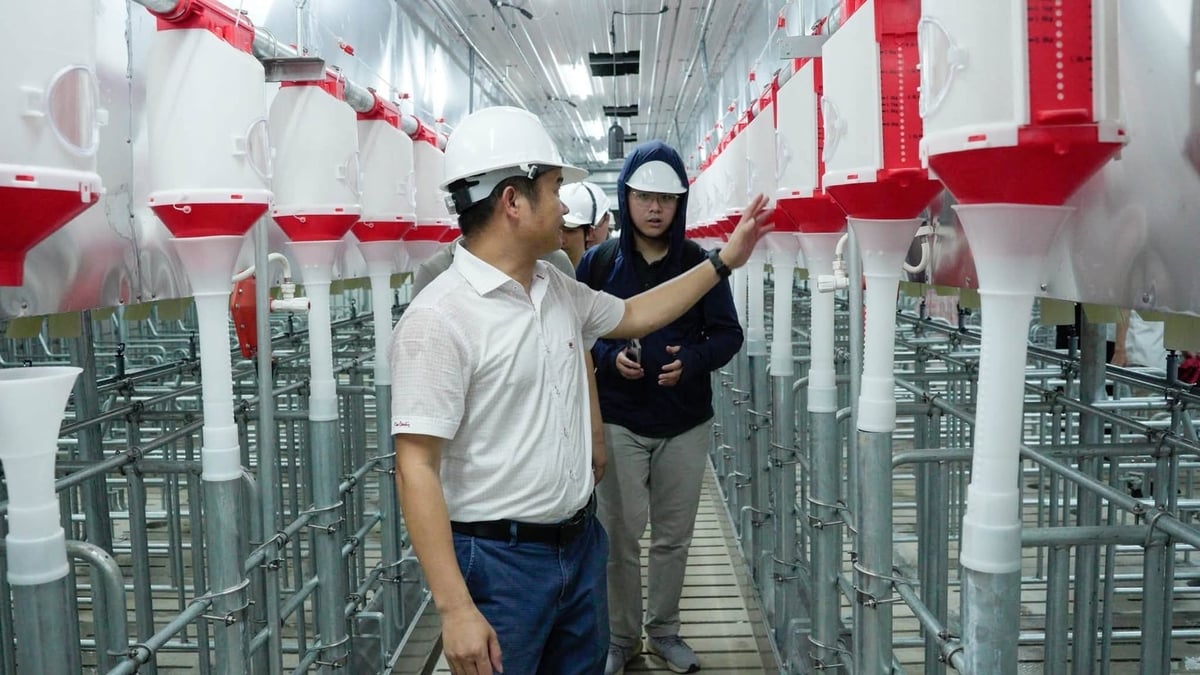 Ông Nguyễn Văn Minh, Phó Tổng Giám đốc BAF Việt Nam: Dự án Giai Xuân đảm bảo việc ứng dụng đồng bộ các giải pháp công nghệ hiện đại trong quản lý và chăn nuôi. Ảnh: BAF.