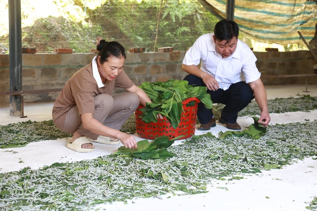 Nhờ trồng dâu nuôi tằm, nhiều hộ dân ở xã Chấn Thịnh đã dần thoát nghèo, có nguồn thu nhập ổn định và xây dựng được nhà cửa khang trang hơn trước. Ảnh: Thanh Ngà.