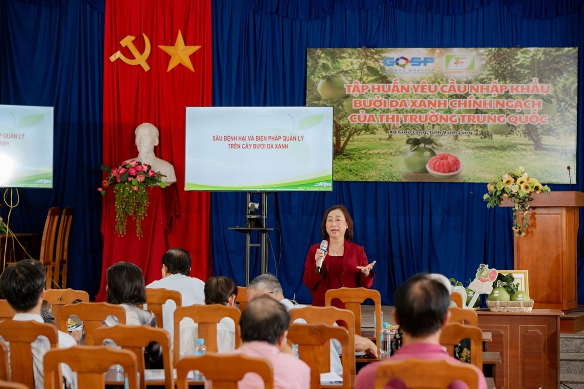 Bà Nguyễn Thị Hồng Thu (Tập đoàn Xuất nhập khẩu trái cây Chánh Thu) chia sẻ về liên kết xây dựng vùng trồng bưởi xuất khẩu. Ảnh: Minh Đảm.