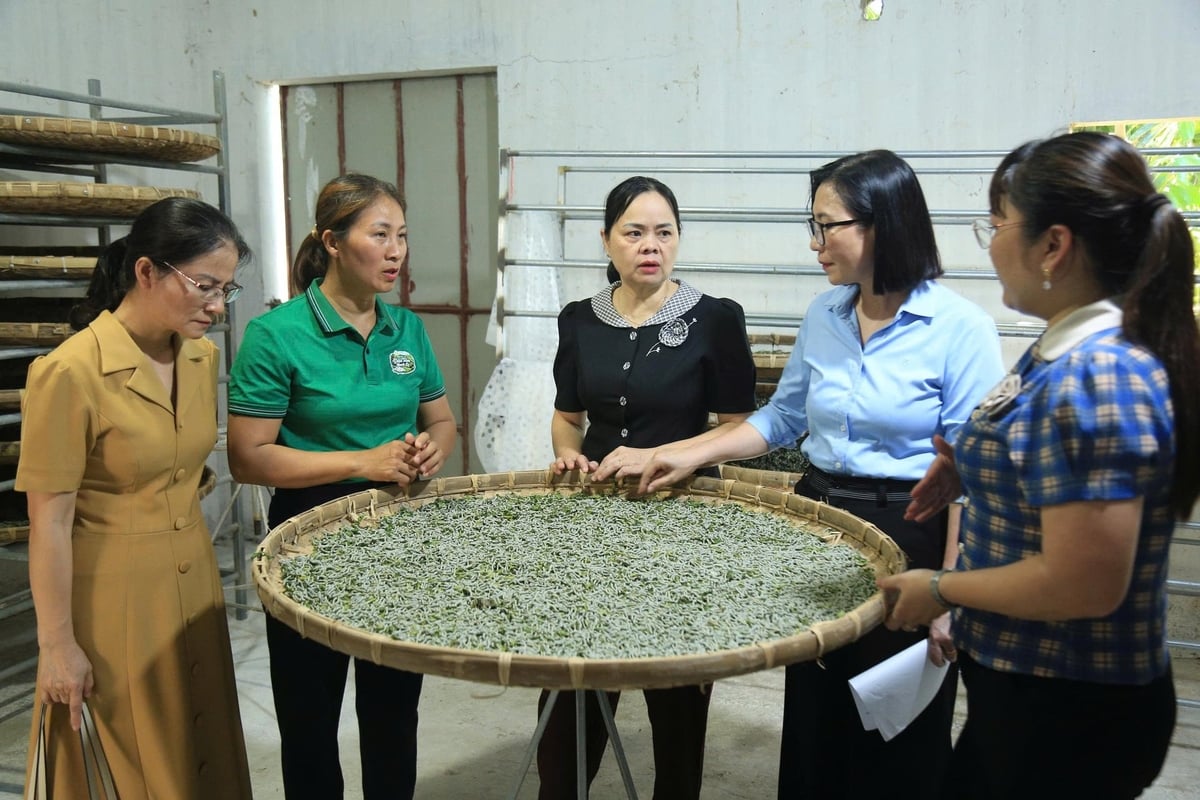 Ngành nông nghiệp tỉnh Lào Cai sẽ đồng hành với các địa phương để các thủ tục không làm ảnh hưởng đến mùa vụ sản xuất của nông dân. Ảnh: Thanh Tiến.