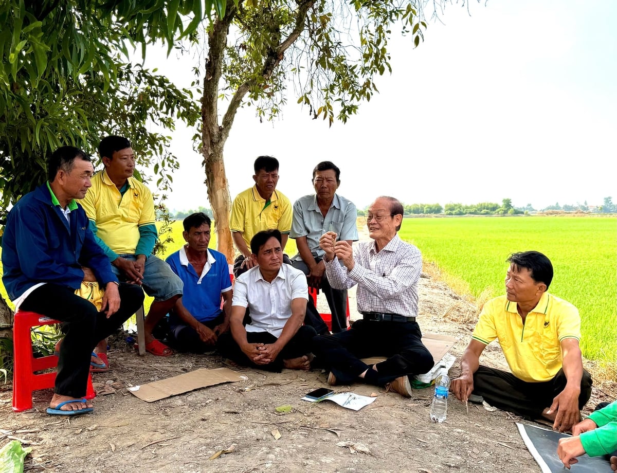 Chuyên gia chương trình 'Hành trình xanh - Đất khỏe - Cây trồng khỏe' trao đổi, hướng dẫn kỹ thuật cải tạo đất phèn và chăm sóc rễ lúa cho ông Nguyễn Trung Phấn cùng bà con tại bờ ruộng. Ảnh: Ngọc Vân.