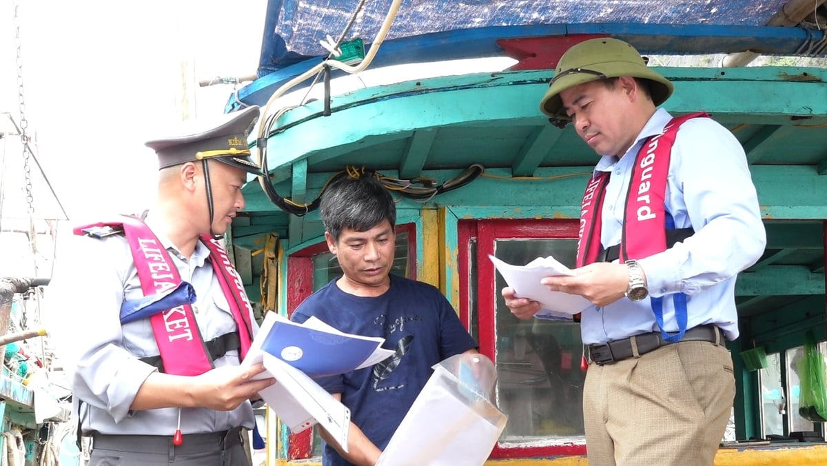 Quảng Ninh nỗ lực gỡ bỏ cảnh báo 'thẻ vàng' IUU. Ảnh: Nguyễn Thành.