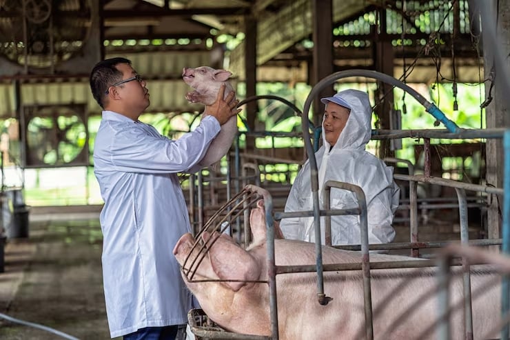 Theo các chuyên gia, nhiều quốc gia hiện đã chính thức công nhận động vật là sinh vật có khả năng cảm nhận đau đớn, căng thẳng và cảm xúc. Ảnh: VietStock. 