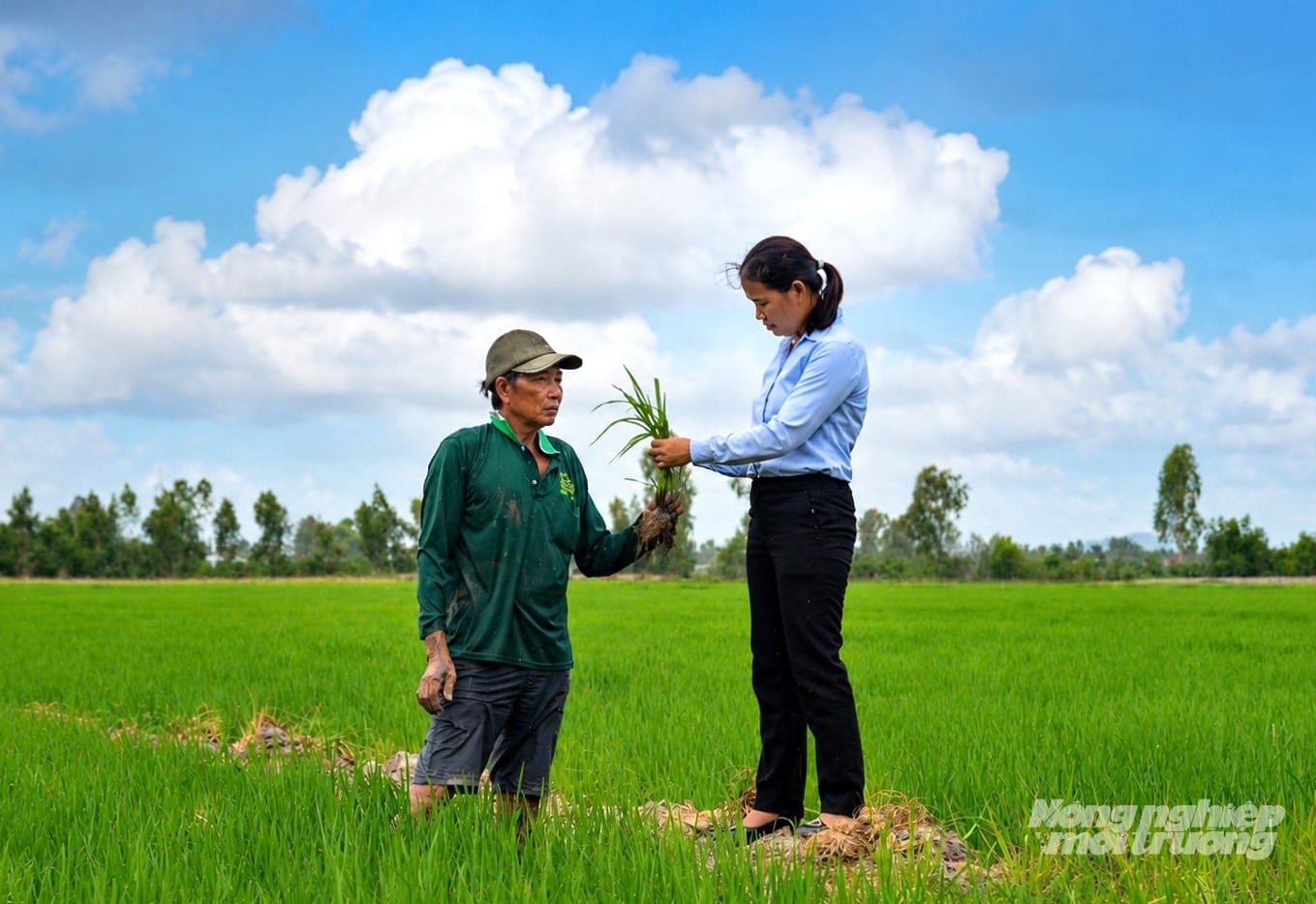 Sau khi được điều chuyển, hàng trăm biên chế khuyến nông đã được bố trí việc làm tại Trung tâm Dịch vụ Tổng hợp xã, tiếp tục thực nhiệm vụ khuyến nông tại cơ sở. Ảnh: Trung Chánh.