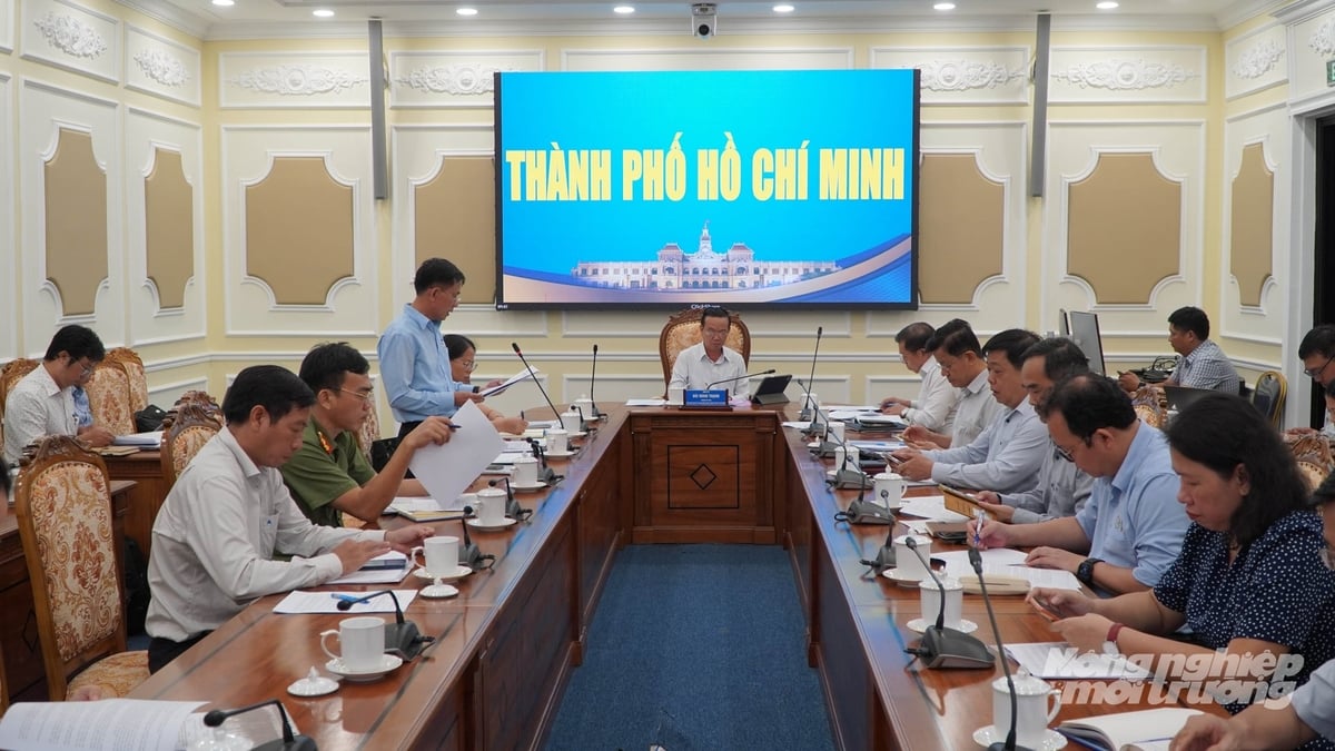 Lãnh đạo TP.HCM chủ trì cuộc họp về kế hoạch phát triển nuôi trồng thủy sản giai đoạn 2026 - 2030, định hướng tích hợp không gian biển - sông - hồ. Ảnh: Lê Bình. Lãnh đạo TP.HCM chủ trì cuộc họp về kế hoạch phát triển nuôi trồng thủy sản giai đoạn 2026 - 2030, định hướng tích hợp không gian biển - sông - hồ. Ảnh: Lê Bình.