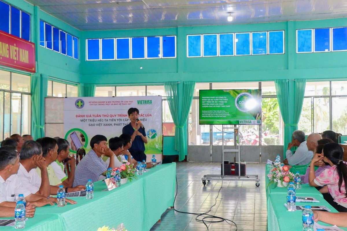 Chi cục Trồng trọt và Bảo vệ thực vật TP Cần Thơ tập huấn đánh giá mức độ thực hành canh tác lúa đáp ứng tiêu chí chứng nhận 'Gạo Việt xanh, phát thải thấp' tại xã Thạnh Phú. Ảnh: Kim Anh.