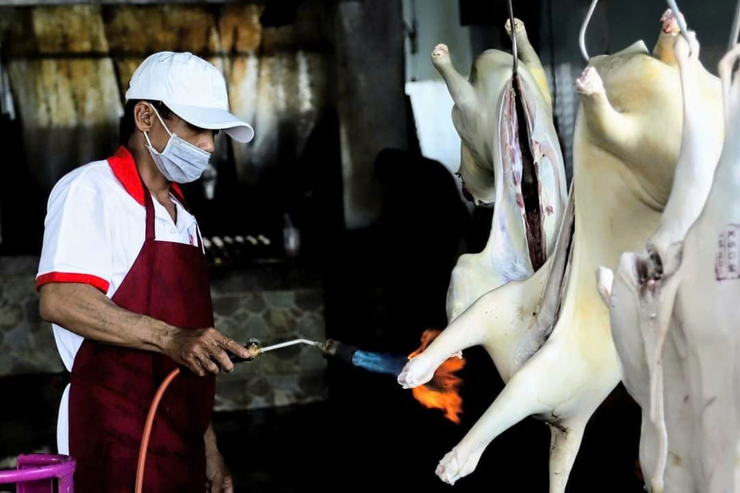 Tỉnh Khánh Hòa áp dụng quy trình chăn nuôi dê, cừu an toàn sinh học theo hướng Halal quốc tế. Ảnh: Phương Chi.