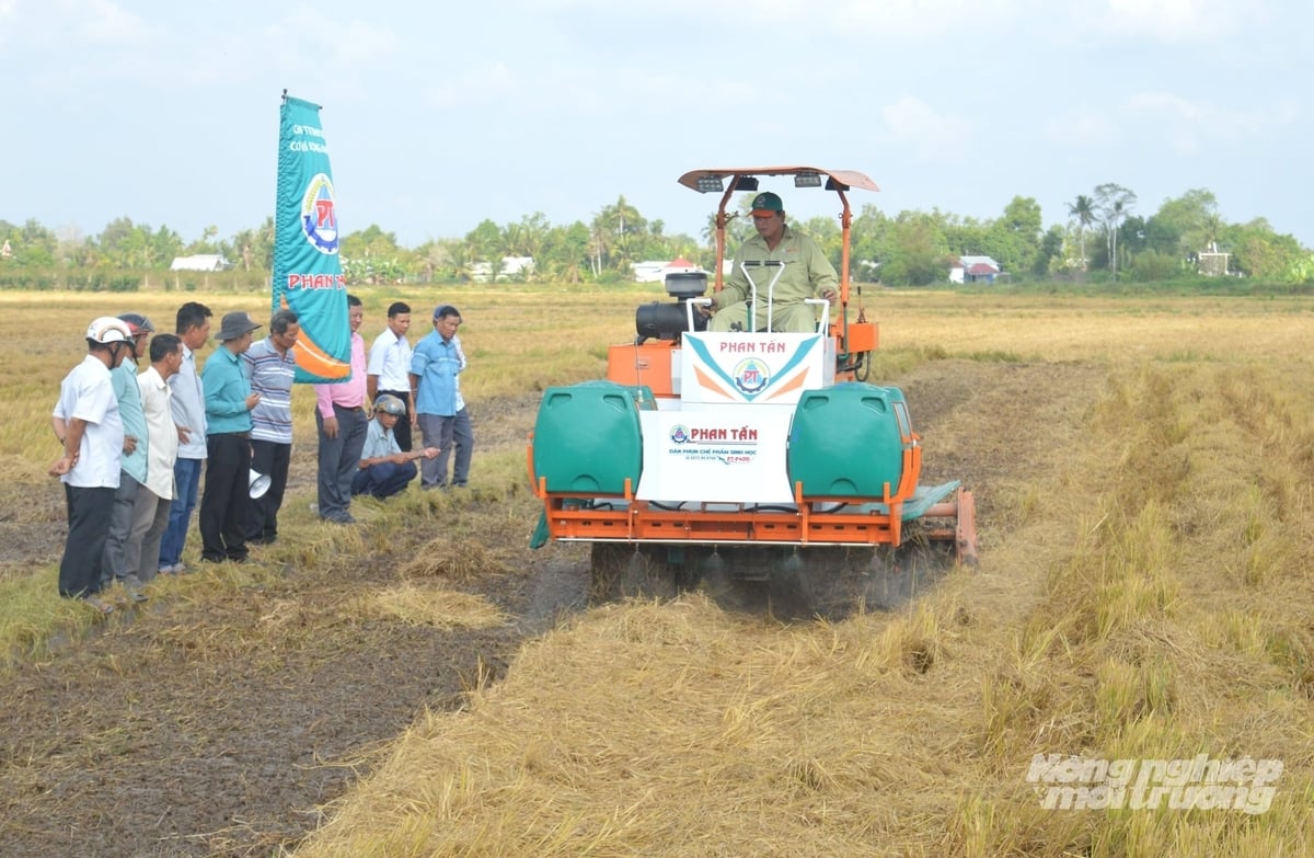 Trước khi gieo sạ khoảng 20 ngày, rơm rạ sau khi thu hoạch lúa đông xuân được xử lý bằng máy xới vùi kết hợp phun chế phẩm vi sinh để đẩy nhanh quá trình phân hủy, tạo nguồn hữu cơ trả lại cho đất. Ảnh: Trung Chánh. Trước khi gieo sạ khoảng 20 ngày, rơm rạ sau khi thu hoạch lúa đông xuân được xử lý bằng máy xới vùi kết hợp phun chế phẩm vi sinh để đẩy nhanh quá trình phân hủy, tạo nguồn hữu cơ trả lại cho đất. Ảnh: Trung Chánh.
