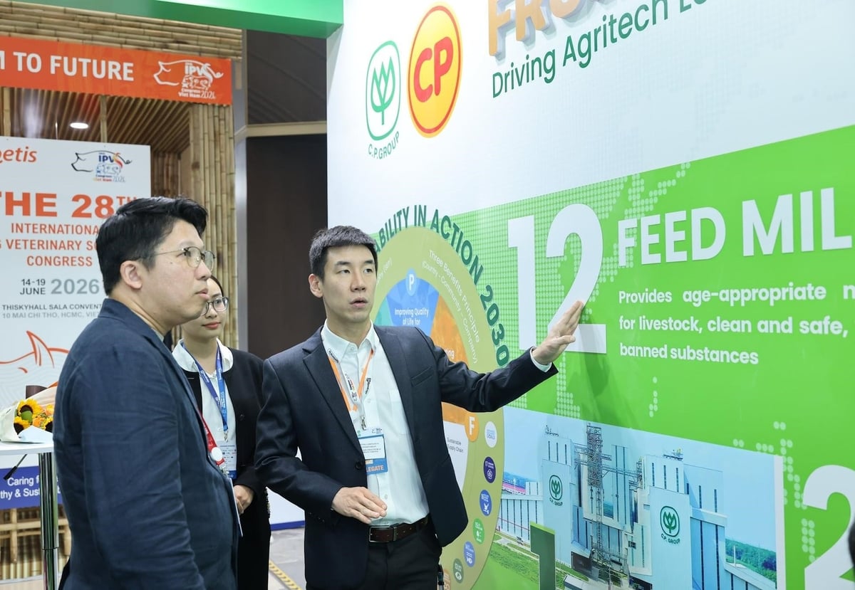 Đại diện C.P. Việt Nam giới thiệu mô hình Feed - Farm - Food cho khách tham quan tại Hội nghị Quốc tế lần thứ 28 của Hiệp hội Thú y Heo Quốc tế. Ảnh: C.P. Việt Nam. Đại diện C.P. Việt Nam giới thiệu mô hình Feed - Farm - Food cho khách tham quan tại Hội nghị Quốc tế lần thứ 28 của Hiệp hội Thú y Heo Quốc tế. Ảnh: C.P. Việt Nam.