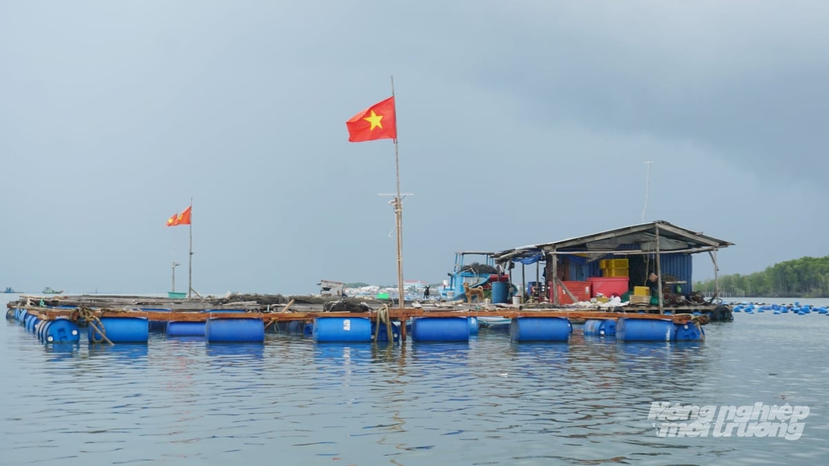 Kế hoạch nuôi trồng thủy sản TP.HCM gắn với định hướng quy hoạch lại không gian phát triển theo hướng bền vững và đa giá trị, ứng dụng công nghệ cao và kết hợp hài hòa giữa hiệu quả kinh tế và bảo vệ hệ sinh thái. Ảnh: Lê Bình. Kế hoạch nuôi trồng thủy sản TP.HCM gắn với định hướng quy hoạch lại không gian phát triển theo hướng bền vững và đa giá trị, ứng dụng công nghệ cao và kết hợp hài hòa giữa hiệu quả kinh tế và bảo vệ hệ sinh thái. Ảnh: Lê Bình.