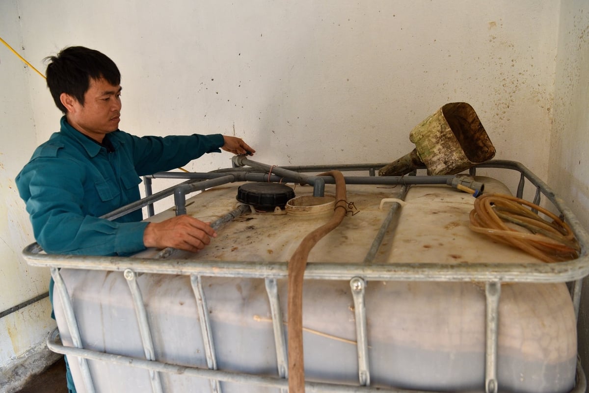 Anh Nguyễn Đắc Thành bên hệ thống tưới phân tự động. Ảnh: Dương Đình Tường.
