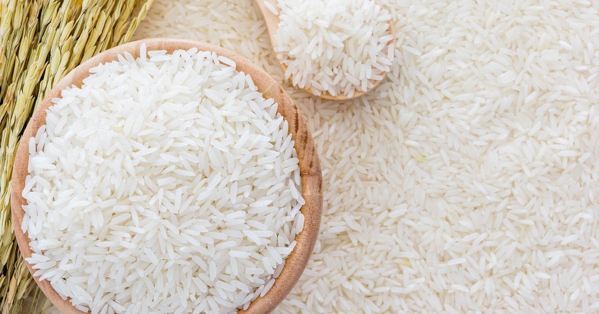 Giá lúa gạo hôm nay 13/6/2026: Duy trì ổn định
