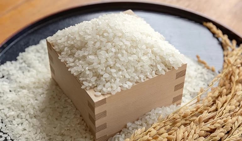 Giá lúa gạo hôm nay 17/6/2026: Tiếp tục ổn định Giá lúa gạo hôm nay 17/6/2026: Tiếp tục ổn định