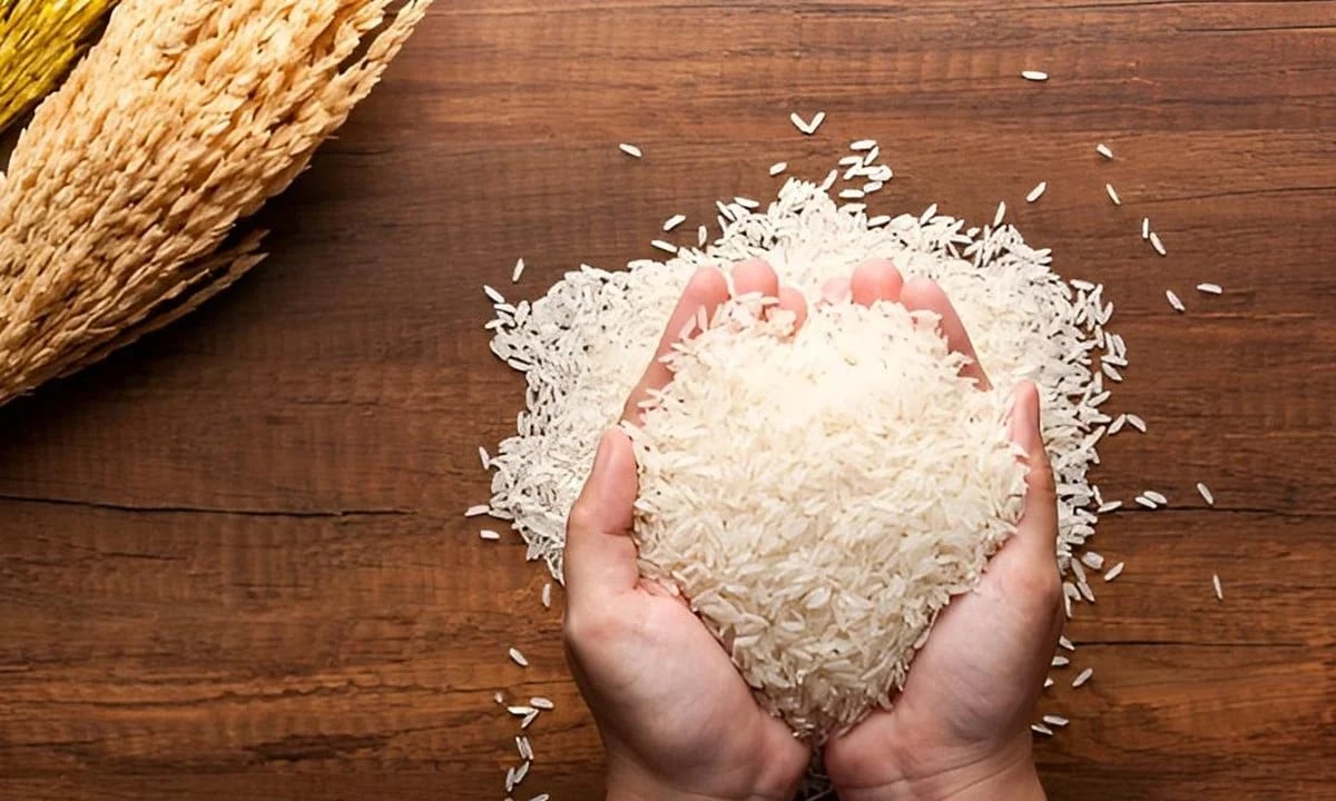 Giá lúa gạo hôm nay 2/6/2026: Thị trường gạo châu Á tăng giá mạnh