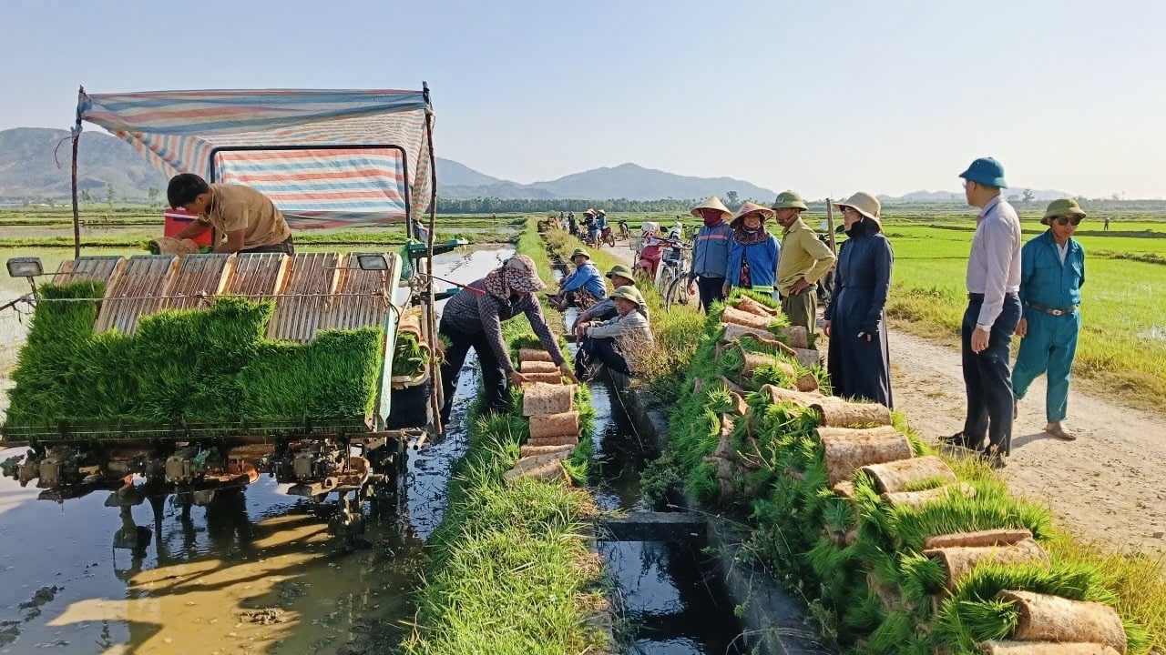 Vụ hè thu 2026, Trung tâm Khuyến nông Hà Tĩnh thực hiện mô hình áp dụng SRI trên diện tích 25,4ha. Ảnh: Ánh Nguyệt. Vụ hè thu 2026, Trung tâm Khuyến nông Hà Tĩnh thực hiện mô hình áp dụng SRI trên diện tích 25,4ha. Ảnh: Ánh Nguyệt.