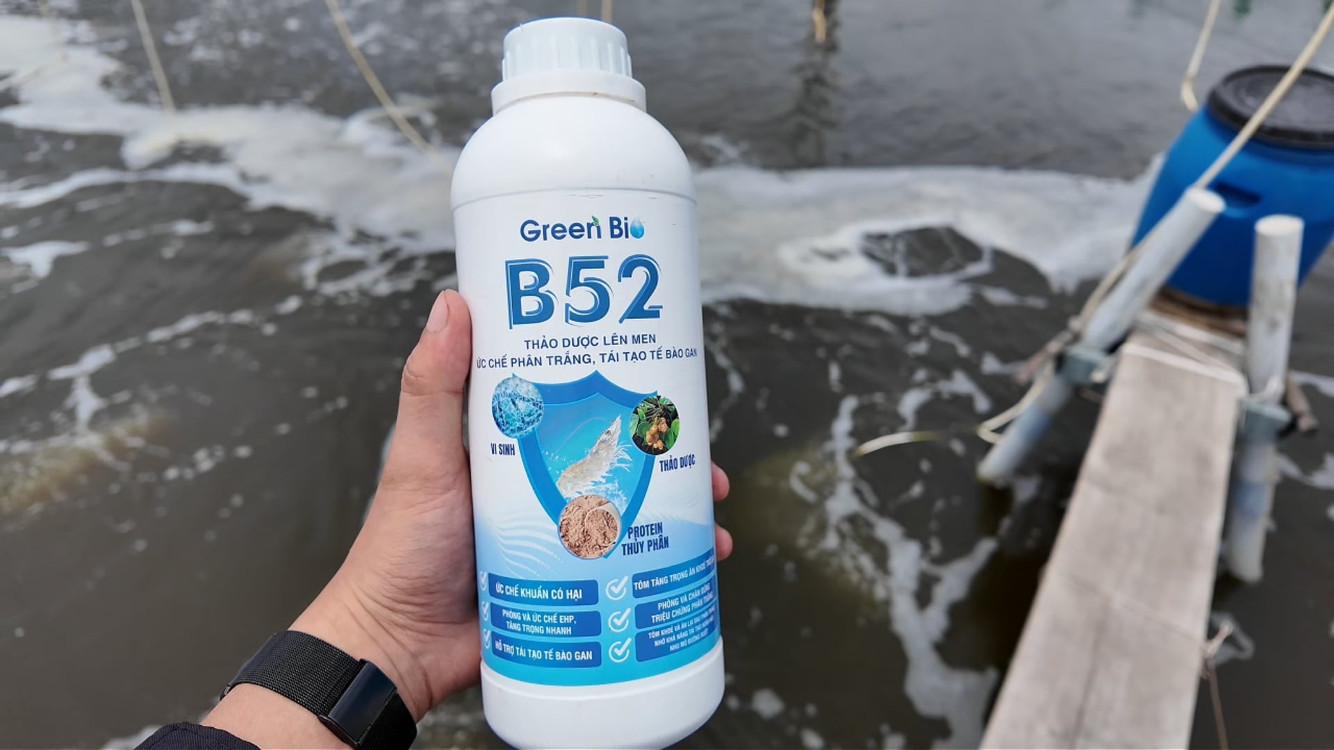 Sản phẩm B52 được nhiều bà con tin dùng để điều trị, phòng bệnh phân trắng trên tôm.