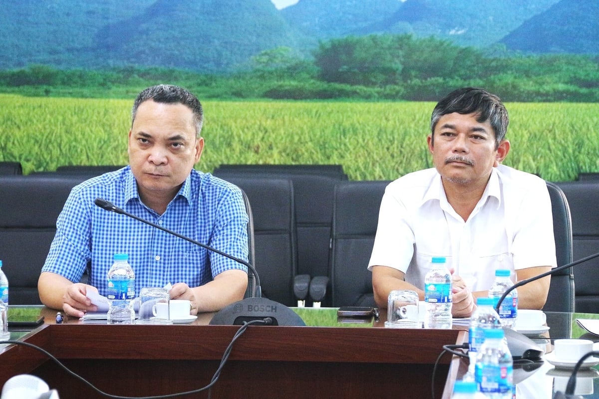 Phó Cục trưởng Cục Trồng trọt và BVTV Nghiêm Quang Tuấn (trái) và Phó Tổng Biên tập Báo Nông nghiệp và Môi trường Trần Cao đồng chủ trì Hội nghị. Ảnh: Trung Hiếu.