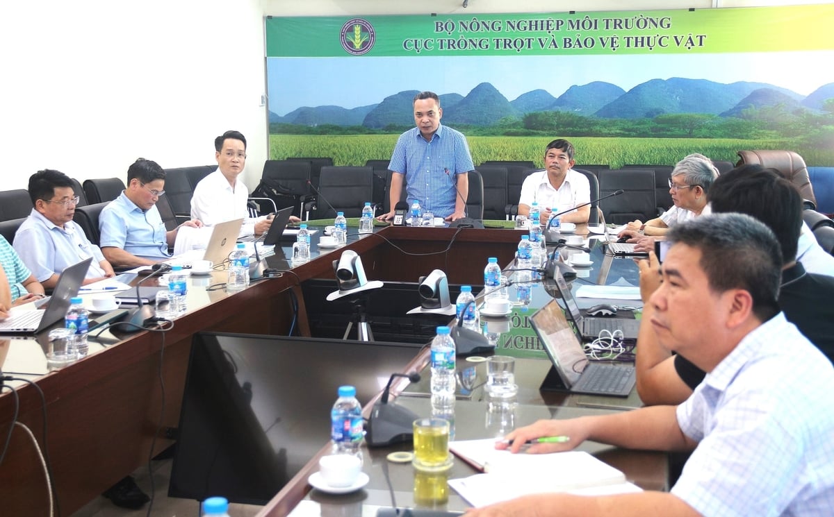 Hội nghị triển khai các nghị quyết của Chính phủ và thông tư của Bộ trưởng Bộ Nông nghiệp và Môi trường về phân cấp, phân quyền, cắt giảm điều kiện kinh doanh và đơn giản hóa thủ tục hành chính trong lĩnh vực trồng trọt, bảo vệ và kiểm dịch thực vật diễn ra ngày 8/6. Ảnh: Trung Hiếu.